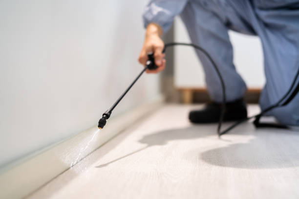 Licensed Fumigation Services service in Marshall County County, MS - Nex Pest Control