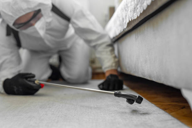 Professional Fumigation Services technician working in Marshall County County, MS